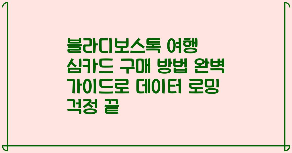 블라디보스톡 여행 심카드 구매 방법 완벽 가이드로 데이터 로밍 걱정 끝