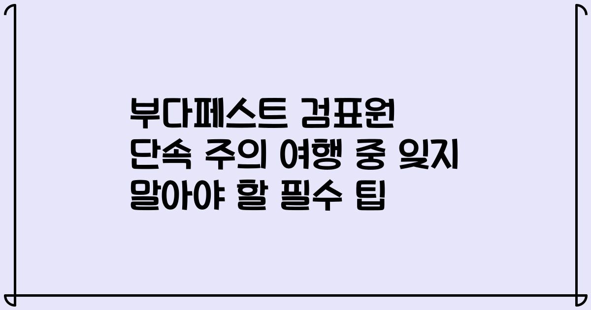 부다페스트 검표원 단속 주의 여행 중 잊지 말아야 할 필수 팁