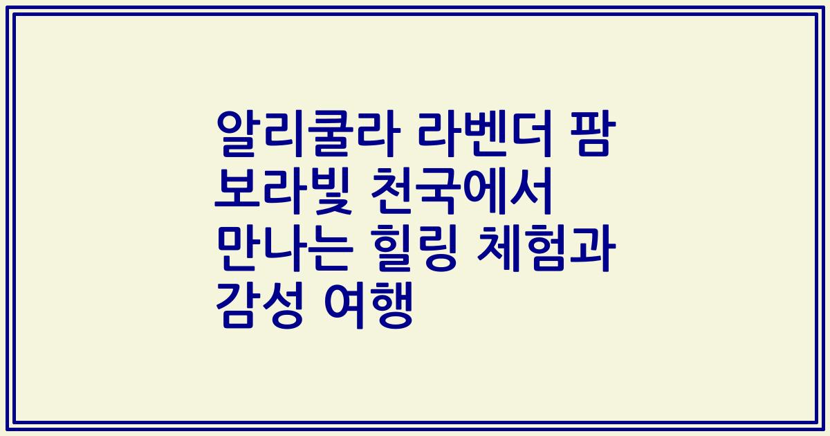 알리쿨라 라벤더 팜 보라빛 천국에서 만나는 힐링 체험과 감성 여행