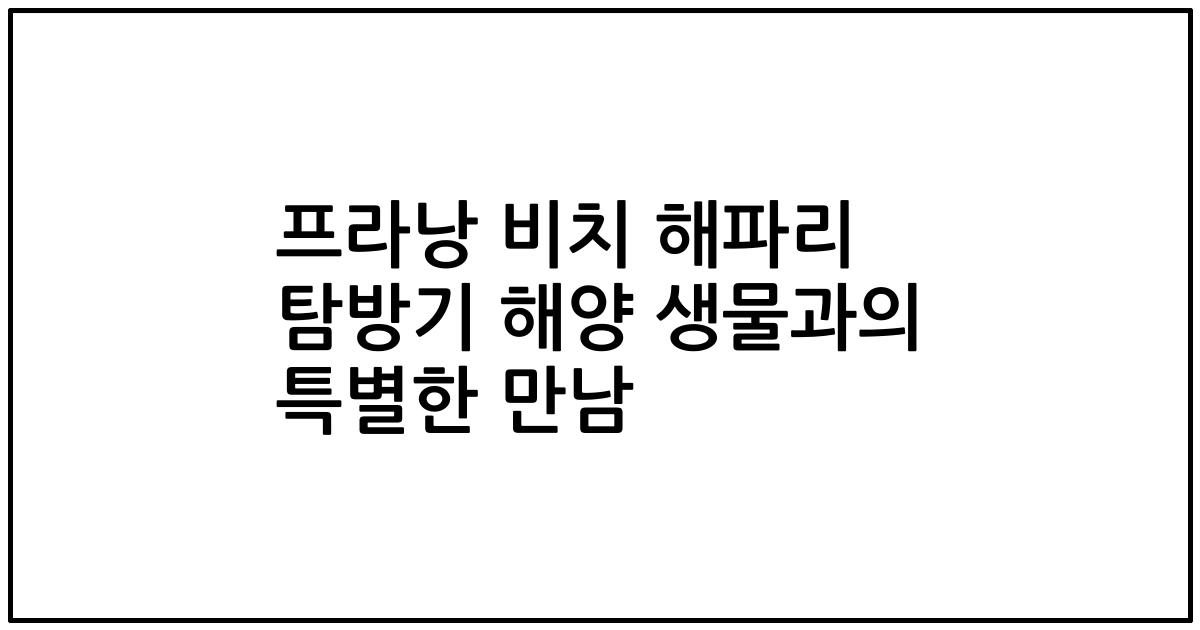 프라낭 비치 해파리 탐방기 해양 생물과의 특별한 만남