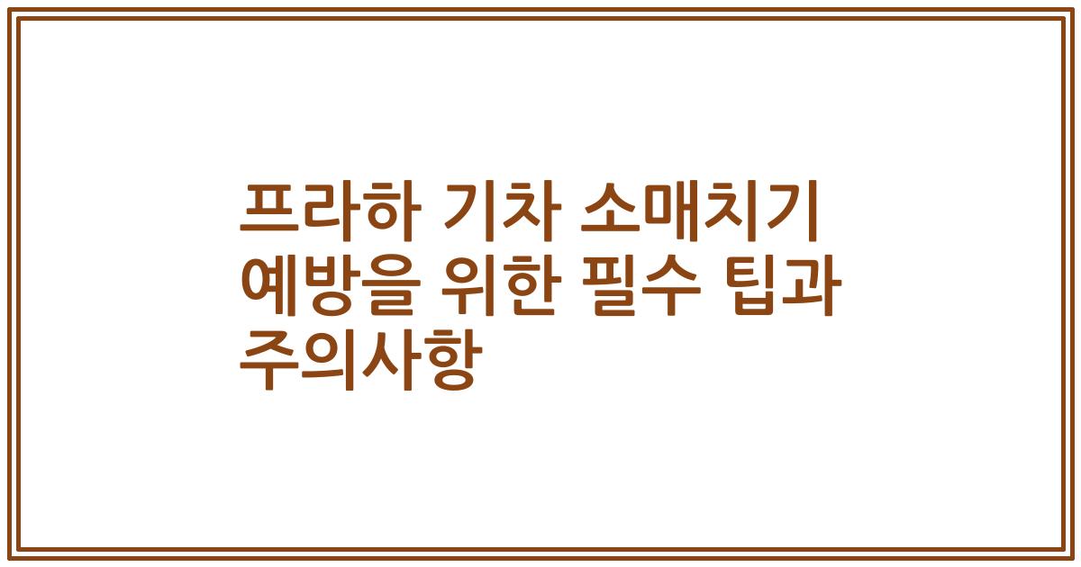 프라하 기차 소매치기 예방을 위한 필수 팁과 주의사항