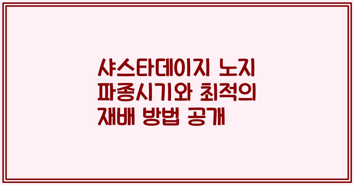 샤스타데이지 노지 파종시기와 최적의 재배 방법 공개