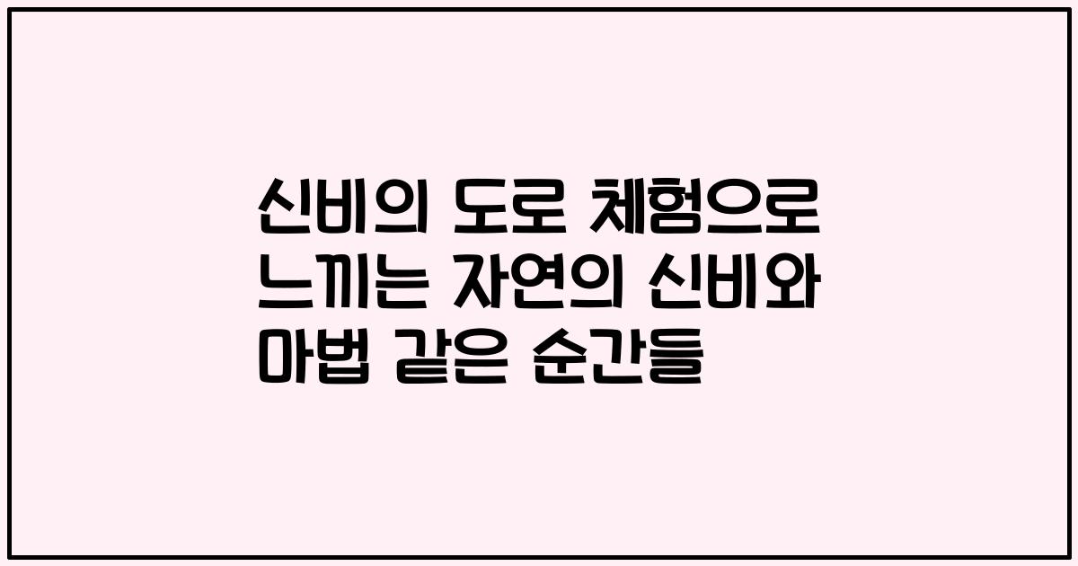신비의 도로 체험으로 느끼는 자연의 신비와 마법 같은 순간들