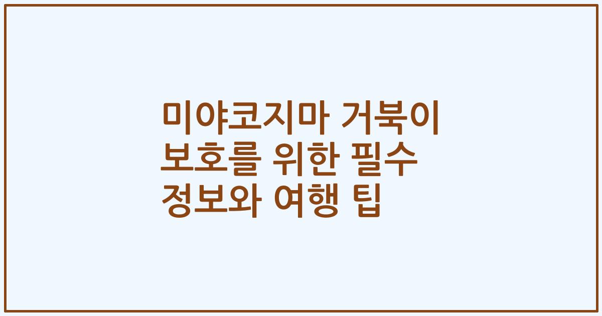미야코지마 거북이 보호를 위한 필수 정보와 여행 팁